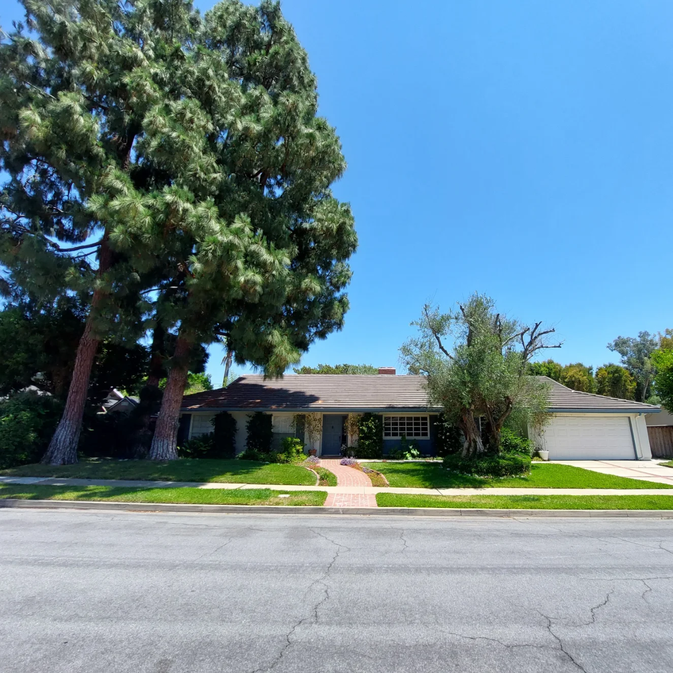 Single-story house with a dark roof, large front windows, and two tall trees in the yard, set on a quiet suburban street under a clear blue sky.