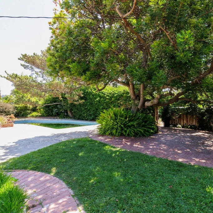 A large tree casts shade over a green lawn and brick pathway beside a swimming pool in a fenced backyard.
