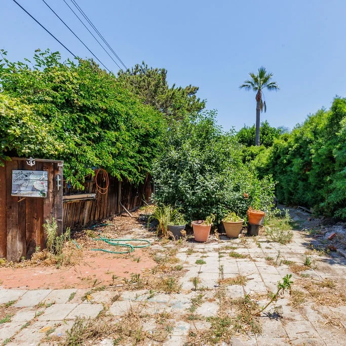 A backyard with overgrown plants, potted shrubs, a wooden fence, a garden hose, and stone pavers under a clear sky.
